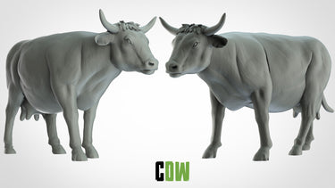 Cow